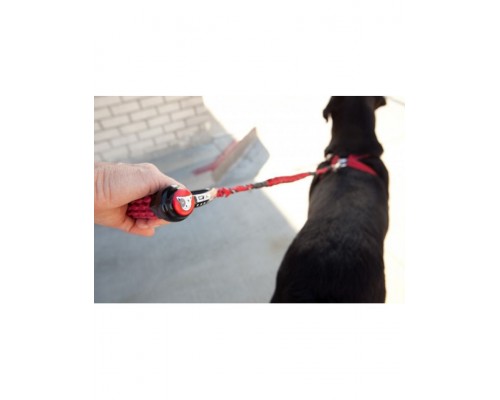 EzyDog CUJO 25'' Red амортизирующий эластичный поводок