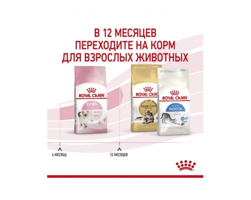 Kitten корм сухой полнорационный сбалансированный для котят в период второй фазы роста (в возрасте до 12 месяцев)