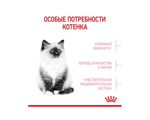 Kitten корм сухой полнорационный сбалансированный для котят в период второй фазы роста (в возрасте до 12 месяцев)