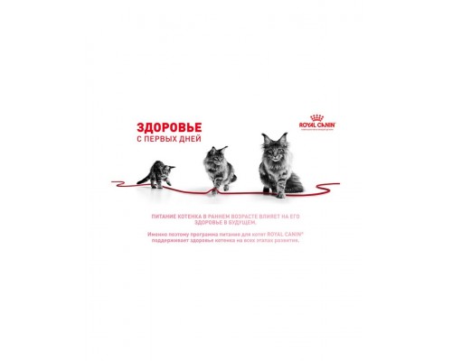 Kitten корм сухой полнорационный сбалансированный для котят в период второй фазы роста (в возрасте до 12 месяцев)