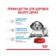 Medium Puppy корм сухой полнорационный для щенков средних пород (вес взрослой собаки от 11 до 25 кг) в возрасте до 12 месяцев