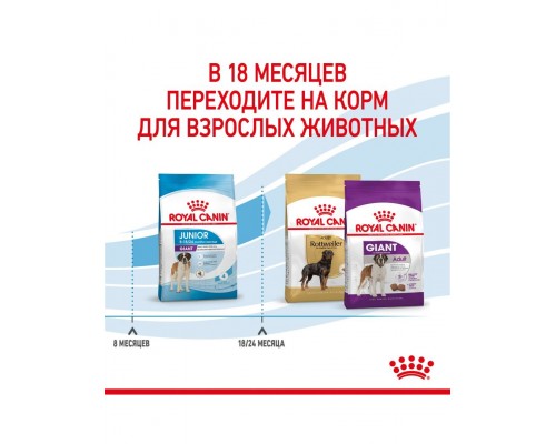 Giant Junior корм сухой полнорационный для щенков очень крупных пород (вес взрослой собаки более 45 кг) в возрасте от 8 до 18/24 месяцев