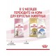 Kitten Sterilised корм сухой полнорационный сбалансированный для стерилизованных котят (в возрасте от 6 до 12 месяцев)