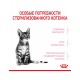 Kitten Sterilised корм сухой полнорационный сбалансированный для стерилизованных котят (в возрасте от 6 до 12 месяцев)