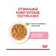 Kitten Jelly кусочки в желе для котят в период второй фазы роста в возрасте до 12 месяцев