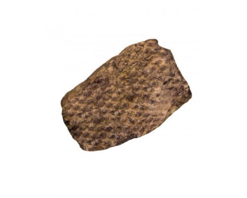 Лакомство для собак "Лёгкое говяжье"