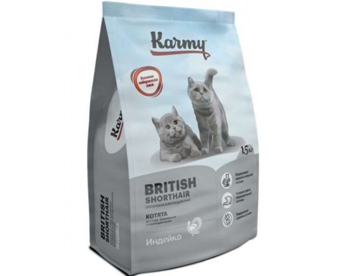 British Shorthair Kitten для котят породы британская короткошерстная, индейка
