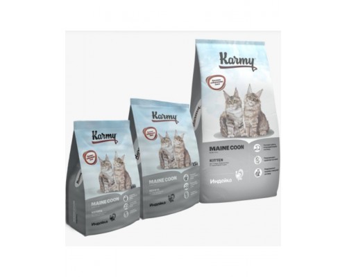 Maine Coon Kitten для котят породы Мейн-кун, индейка