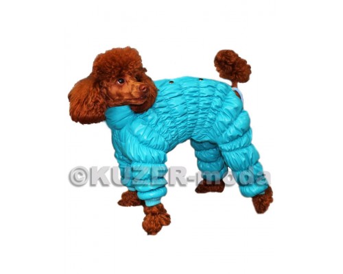 Комбинезон 2-слойный "Дутик" на кобеля (осень/весна)