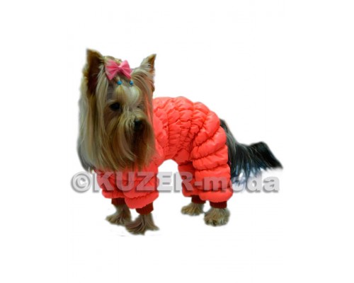 Комбинезон 2-слойный "Дутик" на кобеля (осень/весна)