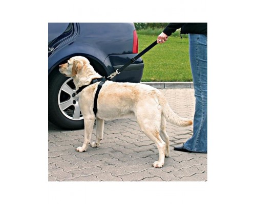 Автомобильный ремень безопасности со шлейкой для собак