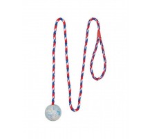 Мяч на веревке игрушка для собак