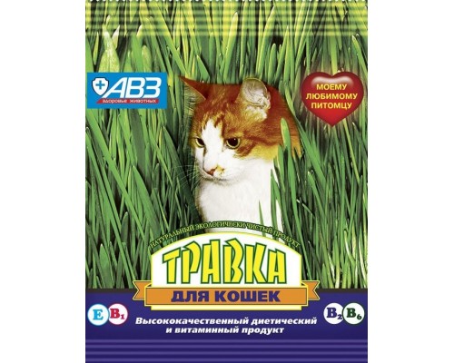 Травка для кошек