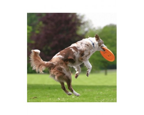 Диск для игры, повышенной прочности