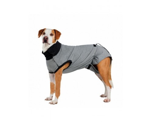 Защитная попона