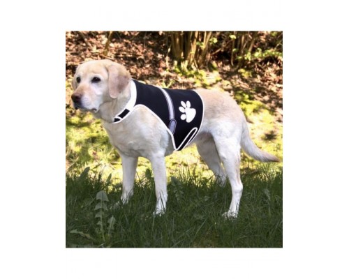 Светящаяся попона для собак USB