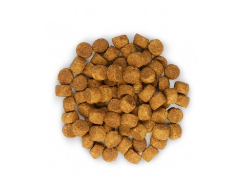 Science Plan для щенков крупных пород с курицей