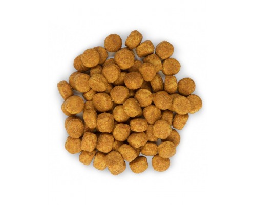 Science Plan для взрослых собак средних пород с курицей