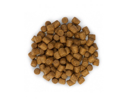 Science Plan Performance для активных собак, курица