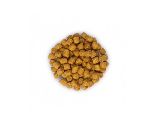 Science Plan для взрослых кошек, с ягненком