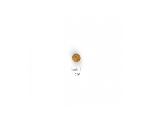 Science Plan для взрослых кошек, с курицей