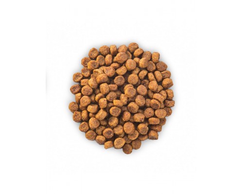 Science Plan для щенков мелких пород с курицей