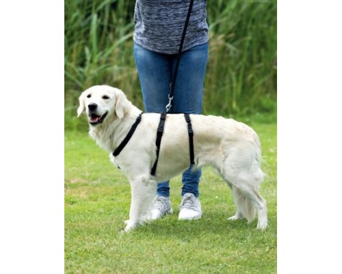 Шлейка Stay для неуверенных (пугливых) собак