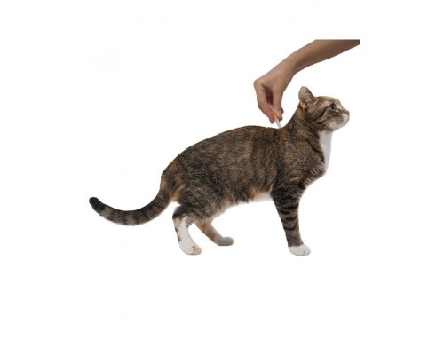 Капли на холку Адвокат® от чесоточных клещей, блох и глистов для кошек и хорьков до 4кг