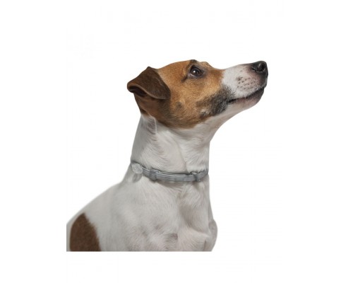 Ошейник Форесто® от клещей и блох для собак до 8 кг