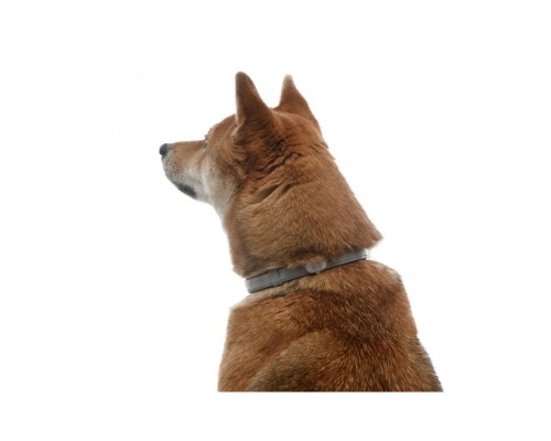 Ошейник Форесто® от клещей и блох для собак более 8 кг