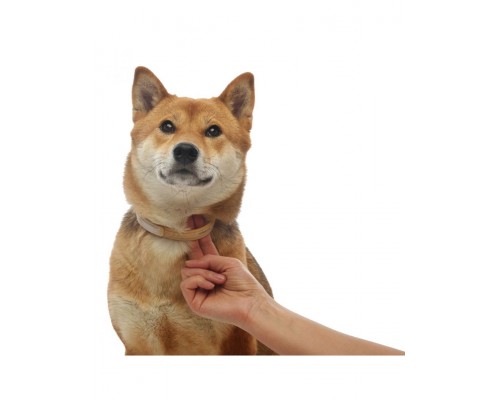 Ошейник Килтикс® от клещей и блох для собак крупных пород